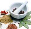Herbal Medicine Dunedin FL