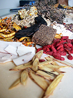 Chinese Herbs Palm Harbor 34683